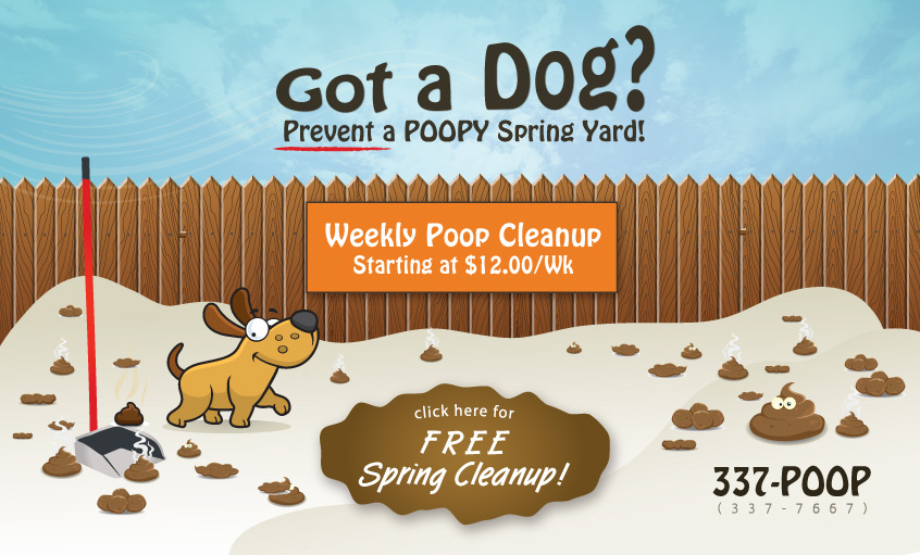 How To Clean Up Dog Poop In A Yard
